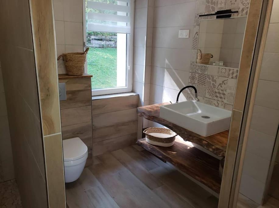 Appartamento Le Bord De Sarre Meuble 3 Etoiles Sarreguemines Esterno foto